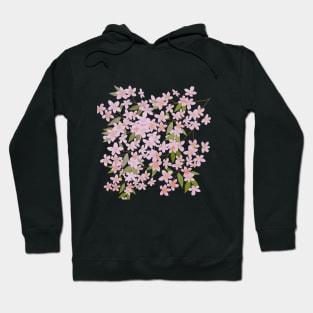 Spring in Korea,a feast of flowers,pink flower Hoodie